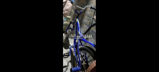 حجله نيجر - 3