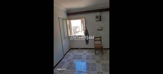 الشقه في اسكان مبارك العامريه على الشارع مباشره وعلى نصيتين - 5