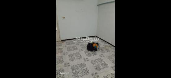 الشقه في اسكان مبارك العامريه على الشارع مباشره وعلى نصيتين - 7