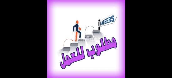 افراد امن