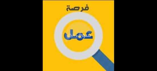 فرصه عمل للشباب