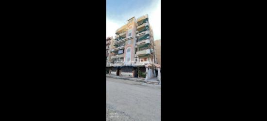 شاطئ النخيل العجمي اسكندريه