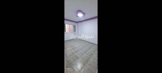 شاطئ النخيل العجمي اسكندريه - 3