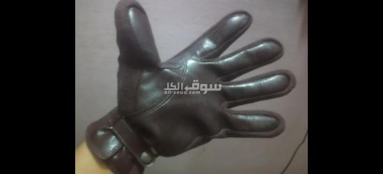 اسكندريه
