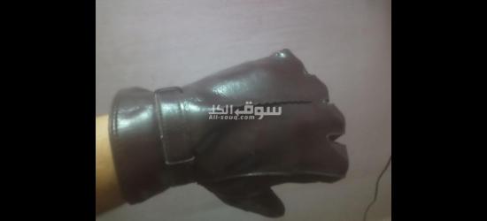 اسكندريه - 3