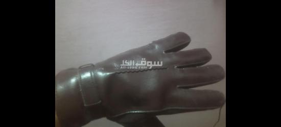 اسكندريه - 4