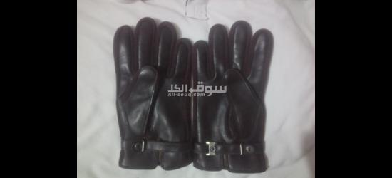 اسكندريه - 6