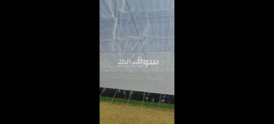 شبك زراعي جديد فقط - 5