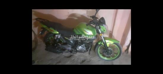 موتسكل فيجوري