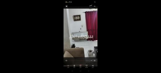 شقه للايجار