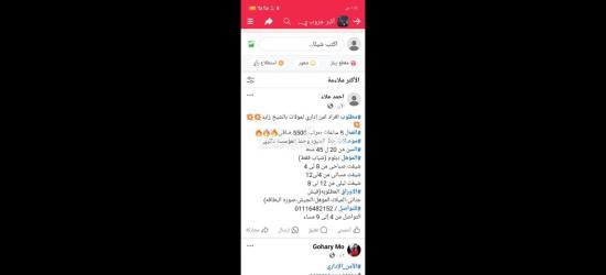 افراد امن بالشيخ زايد
