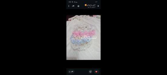 كفر الشيخ سيدي سالم دمرو الحدادي بجوار جامع العزبيه