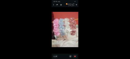 كفر الشيخ سيدي سالم دمرو الحدادي بجوار جامع العزبيه - 2