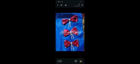 كفر الشيخ سيدي سالم دمرو الحدادي بجوار جامع العزبيه - 4