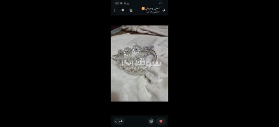 كفر الشيخ سيدي سالم دمرو الحدادي بجوار جامع العزبيه - 5
