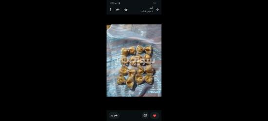 كفر الشيخ سيدي سالم دمرو الحدادي بجوار جامع العزبيه - 6