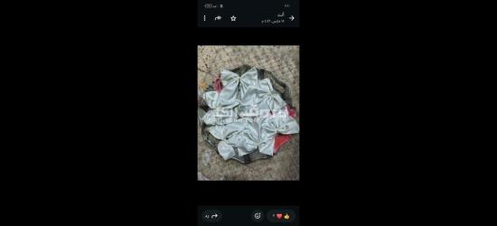 كفر الشيخ سيدي سالم دمرو الحدادي بجوار جامع العزبيه - 8