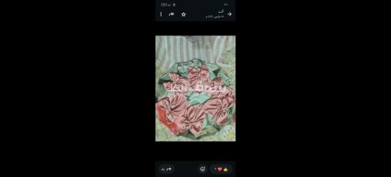 كفر الشيخ سيدي سالم دمرو الحدادي بجوار جامع العزبيه - 9