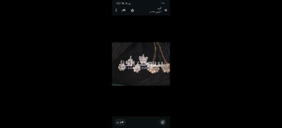 كفر الشيخ سيدي سالم دمرو الحدادي بجوار جامع العزبيه - 11