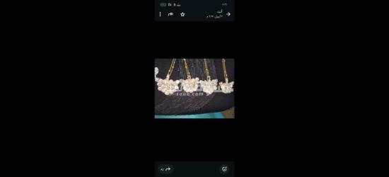 كفر الشيخ سيدي سالم دمرو الحدادي بجوار جامع العزبيه - 12