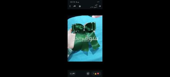 كفر الشيخ سيدي سالم دمرو الحدادي بجوار جامع العزبيه - 14