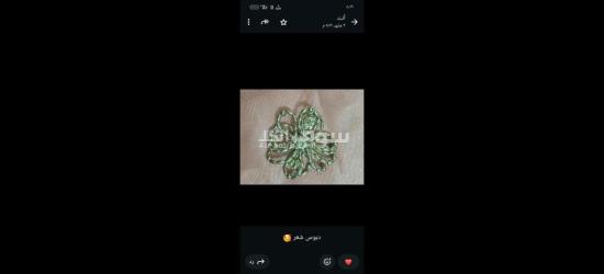 كفر الشيخ سيدي سالم دمرو الحدادي بجوار جامع العزبيه - 15