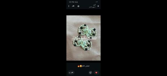 كفر الشيخ سيدي سالم دمرو الحدادي بجوار جامع العزبيه - 17