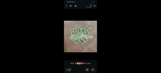 كفر الشيخ سيدي سالم دمرو الحدادي بجوار جامع العزبيه - 18