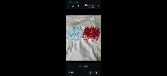 كفر الشيخ سيدي سالم دمرو الحدادي بجوار جامع العزبيه - 19