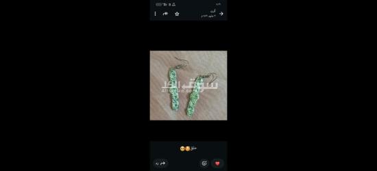 كفر الشيخ سيدي سالم دمرو الحدادي بجوار جامع العزبيه - 20