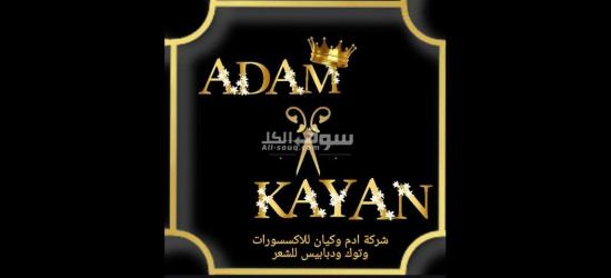 كفر الشيخ سيدي سالم دمرو الحدادي بجوار جامع العزبيه
