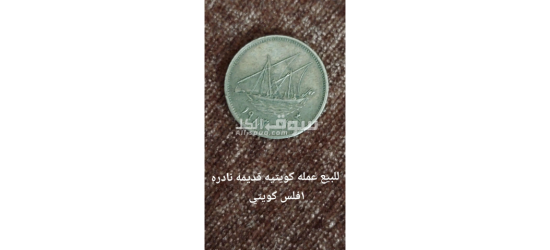 القاهرة  الزيتون