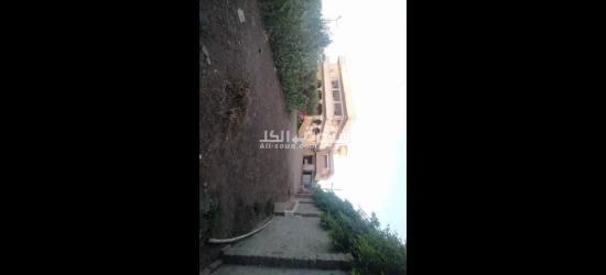 2 بيت وحديقه على 9 قيراط محاطين بسور ( كردون ) - 3