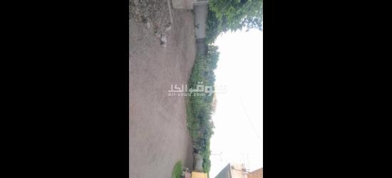 2 بيت وحديقه على 9 قيراط محاطين بسور ( كردون ) - 4