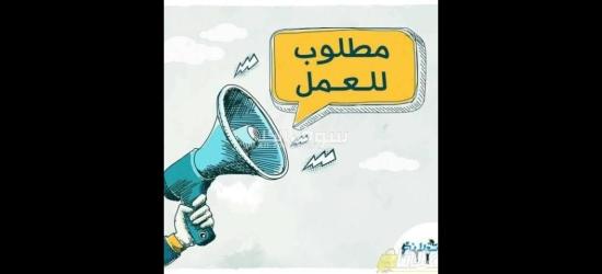 مطلوب شباب للعمل فى مصنع بصل مجفف