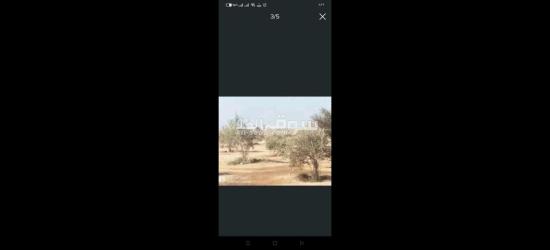 بيع قطعة ارض