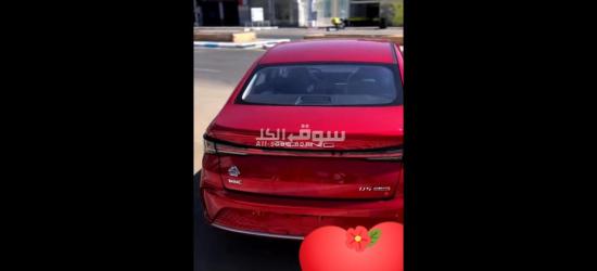 الاسكندريه فلمنج - 4