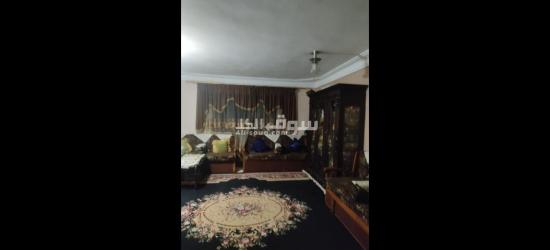 واحد شارع قنال المحمودية الحضرة الجديدة الاسكندريه