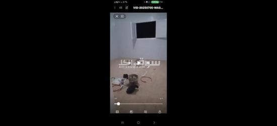الخصوص