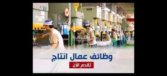 مطلوب فرد انتاج