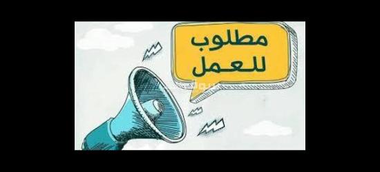 مصنع بصل مجفف فى القاهرة