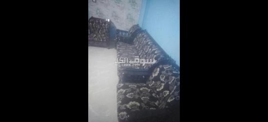 خشب زان