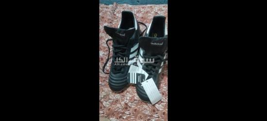 ابو حماد الشرقيه