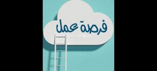 وظيفة عمل للشباب