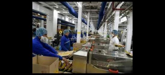 تعيين فوري مطلوب عمال لمصنع باتيه باكتوبر ويوجد سكن