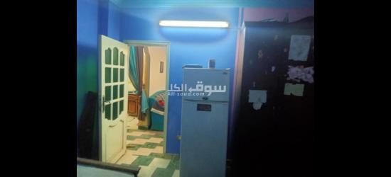 شقة للايجار القديم - 12