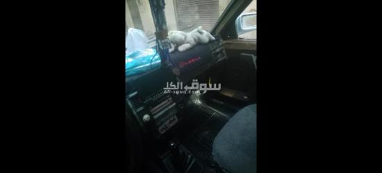 سياره اليكو نصر فيات..شاهين هاتش باك.. - 4