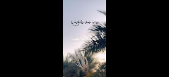 لكل ال بيدور على فرصه شغل