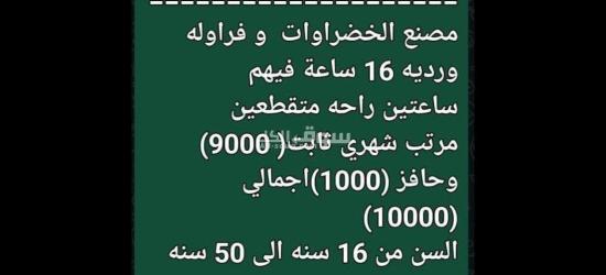 عمال انتاج لمصنع