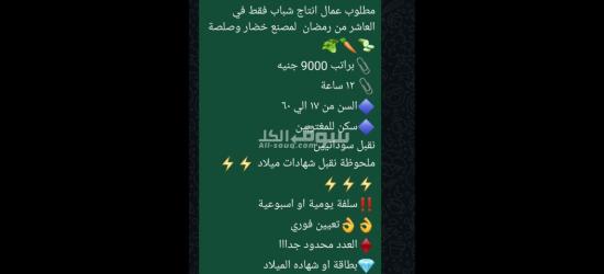 مطلوب عمال في مصنع خضار وصلصه